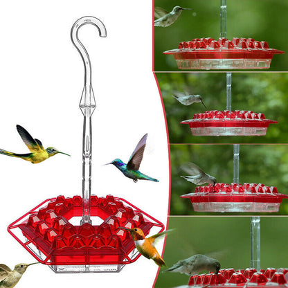 Hexagon Coneflower Bird Feeder