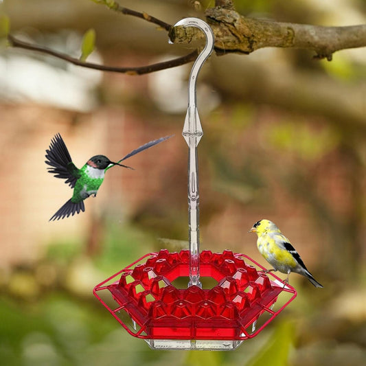 Hexagon Coneflower Bird Feeder