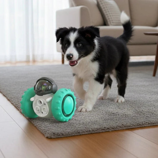 Interactive Pet Treat Dispenser Toy
